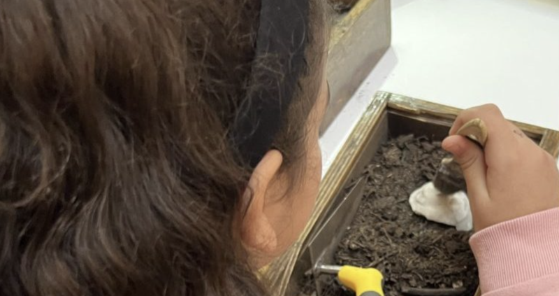 Lo scavo archeologico